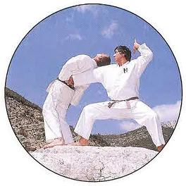 Logo de l'Académie Européenne de Ju-Jutsu Traditionnel